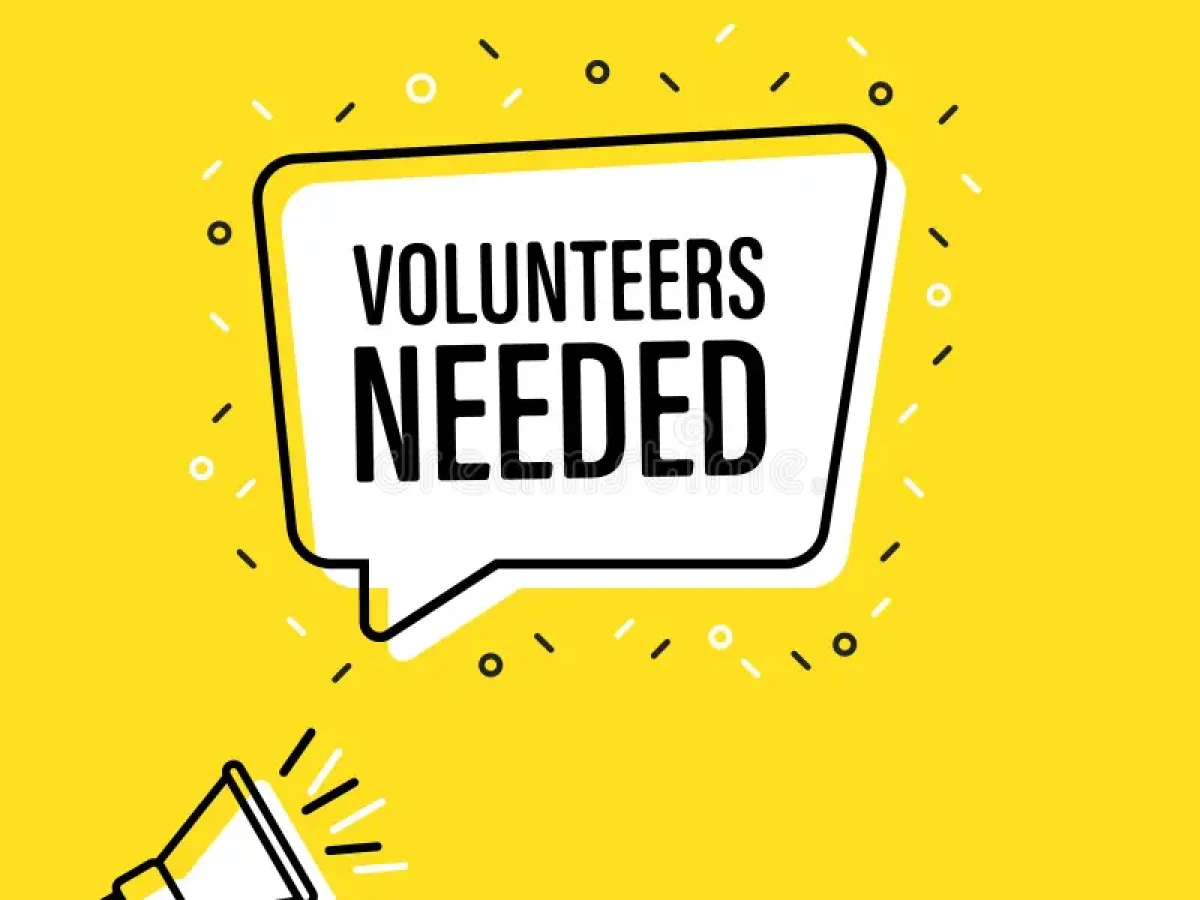 Volunteer Visa in South Africa: How to Volunteer Legally in 2026